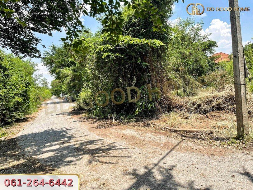 หมู่บ้านร่มรื่นวิลล์ 3 (Baan Romruen Ville 3) วังน้อย อยุธยา ที่ดินถมแล้ว แปลงมุม-2
