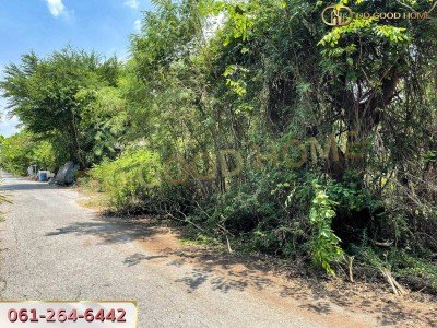 หมู่บ้านร่มรื่นวิลล์ 3 (Baan Romruen Ville 3) วังน้อย อยุธยา ที่ดินถมแล้ว แปลงมุม