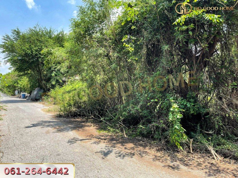 หมู่บ้านร่มรื่นวิลล์ 3 (Baan Romruen Ville 3) วังน้อย อยุธยา ที่ดินถมแล้ว แปลงมุม-5