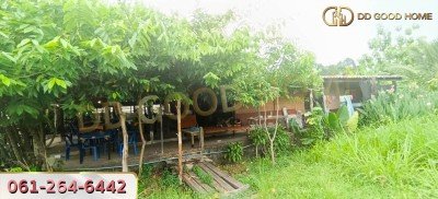 ที่ดินพร้อมสิ่งปลูกสร้าง ศรีราชา ชลบุรี ที่สวย ทำเลทอง 2 งาน 64 ตร.ว.