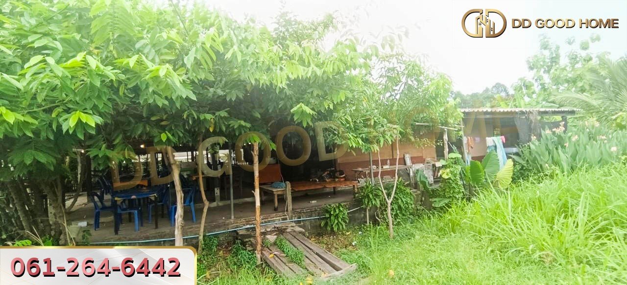 ที่ดินพร้อมสิ่งปลูกสร้าง ศรีราชา ชลบุรี ที่สวย ทำเลทอง 2 งาน 64 ตร.ว.-9