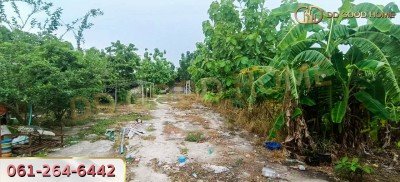 ที่ดินพร้อมสิ่งปลูกสร้าง ศรีราชา ชลบุรี ที่สวย ทำเลทอง 2 งาน 64 ตร.ว.