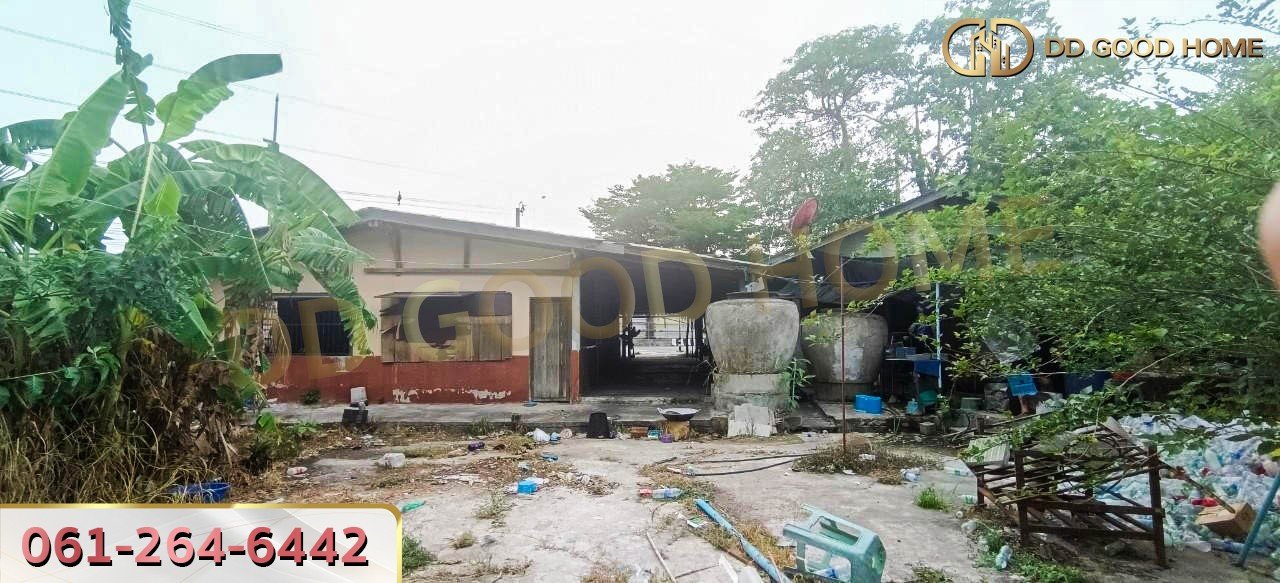 ที่ดินพร้อมสิ่งปลูกสร้าง ศรีราชา ชลบุรี ที่สวย ทำเลทอง 2 งาน 64 ตร.ว.-7