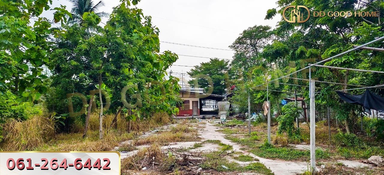 ที่ดินพร้อมสิ่งปลูกสร้าง ศรีราชา ชลบุรี ที่สวย ทำเลทอง 2 งาน 64 ตร.ว.-4