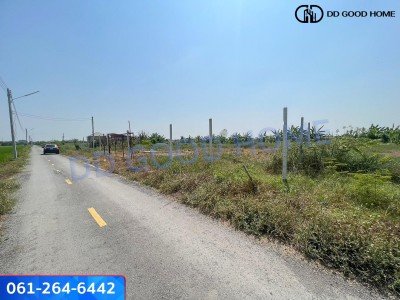 ที่ดินถมแล้ว 300 ตารางวา ซอยลุงไป๋ (คลอง5ตะวันออก)