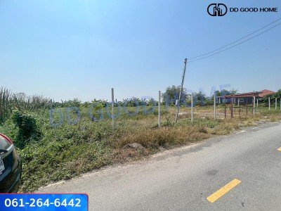 ที่ดินถมแล้ว 300 ตารางวา ซอยลุงไป๋ (คลอง5ตะวันออก)