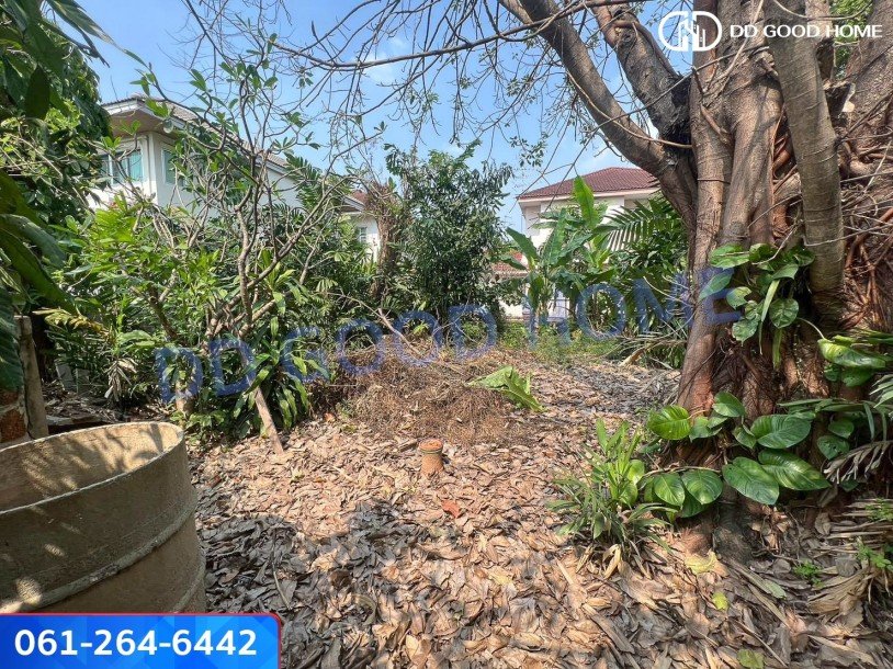 ที่ดินเปล่า ทำเลดี โครงการหมู่บ้านชลลดา บางบัวทอง-3