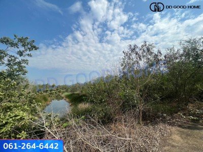 ที่ดินเปล่าขนาด 1 ไร่ 12 วา บางหลวง บางเลน นครปฐม