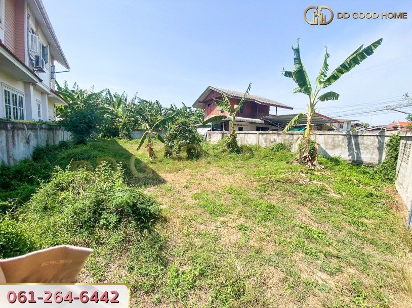 ขายที่ดินถมแล้ว ท่าคอย ท่ายาง เพชรบุรี ราคาพิเศษ!!-3