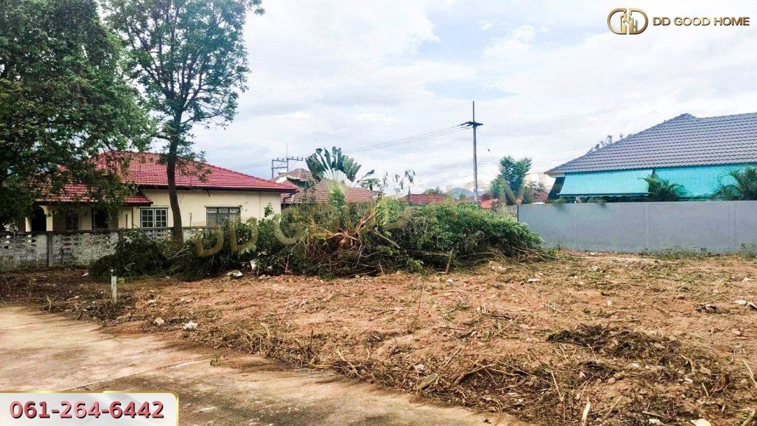 ที่ดินจัดสรร น.ส.3ก หมู่บ้านไพศาลวิลล์ 3 แปลงหัวมุม วิวภูเขา-2