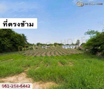 ที่ดินเปล่า 2 งาน 11.4 ตร.ว. ต.บางแก้ว อ.บรรพตพิสัย จ.นครสวรรค์