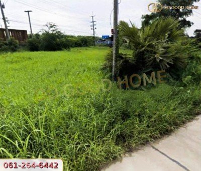 ที่ดินเปล่า 2 งาน 11.4 ตร.ว. ต.บางแก้ว อ.บรรพตพิสัย จ.นครสวรรค์