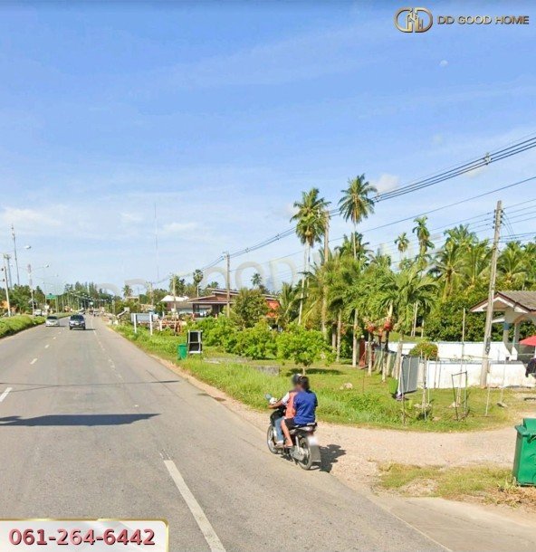 ขายที่ดินสวนผลไม้ พร้อมสิ่งปลูกสร้าง ชุมพร-5