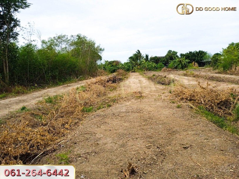 ที่ดินเปล่าถมแล้ว 3 ไร่ ต.บางเลน อ.บางเลน จ.นครปฐม-8