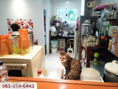 ทาวน์เฮ้าส์ 2 ชั้น 17 ตร.ว. ใกล้รถไฟฟ้า แขวง คลองจั่น เขต บางกะปิ