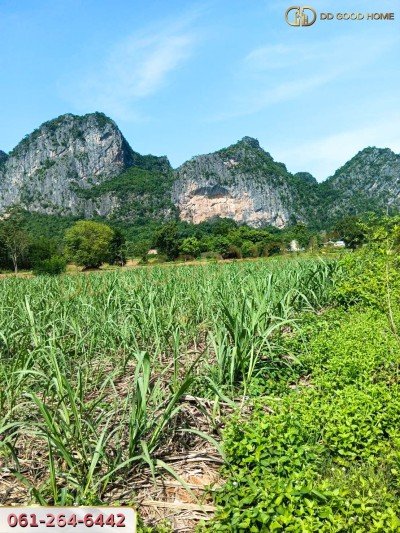 ที่ดินเปล่า 4 ไร่ 2 งาน 86.5 ตร.ว. อ.ภูผาม่าน จ.ขอนแก่น ติดเขา