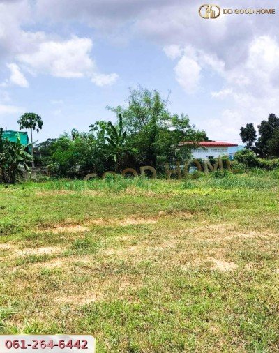 ขายที่ดินเปล่าถมแล้ว 124 ตร.ว. ที่สวย ทำเลทอง อ.บางละมุง จ.ชลบุรี