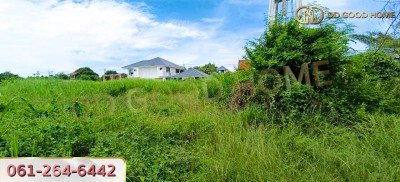 ขายที่ดินเปล่าถมแล้ว 124 ตร.ว. ที่สวย ทำเลทอง อ.บางละมุง จ.ชลบุรี