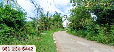 ขายที่ดินเปล่าถมแล้ว 124 ตร.ว. ที่สวย ทำเลทอง อ.บางละมุง จ.ชลบุรี