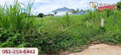 ขายที่ดินเปล่าถมแล้ว 124 ตร.ว. ที่สวย ทำเลทอง อ.บางละมุง จ.ชลบุรี