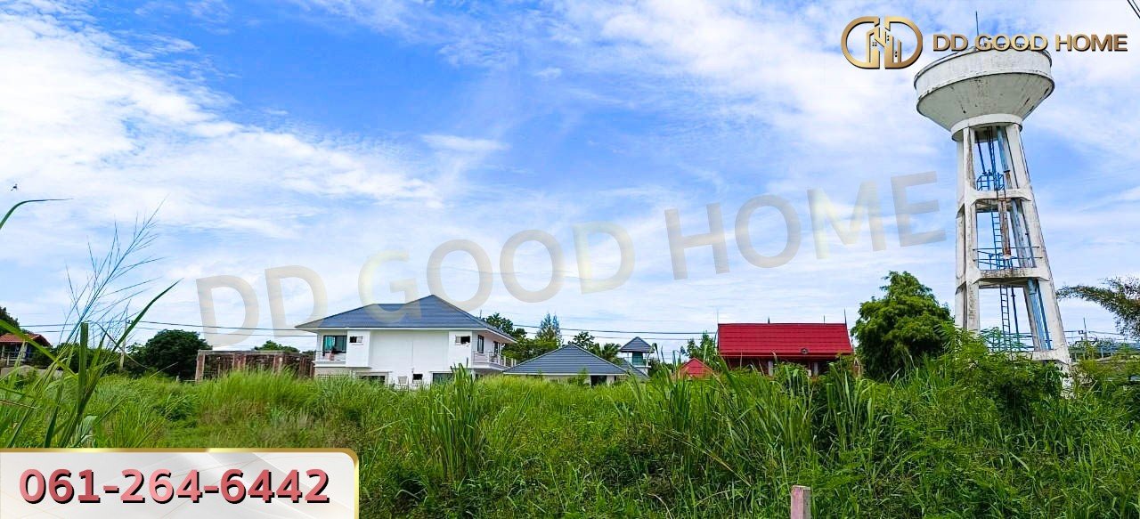 ขายที่ดินเปล่าถมแล้ว 124 ตร.ว. ที่สวย ทำเลทอง อ.บางละมุง จ.ชลบุรี-4