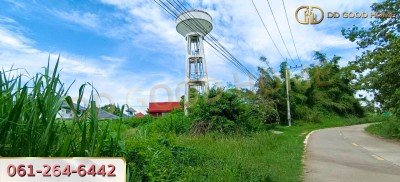 ขายที่ดินเปล่าถมแล้ว 124 ตร.ว. ที่สวย ทำเลทอง อ.บางละมุง จ.ชลบุรี