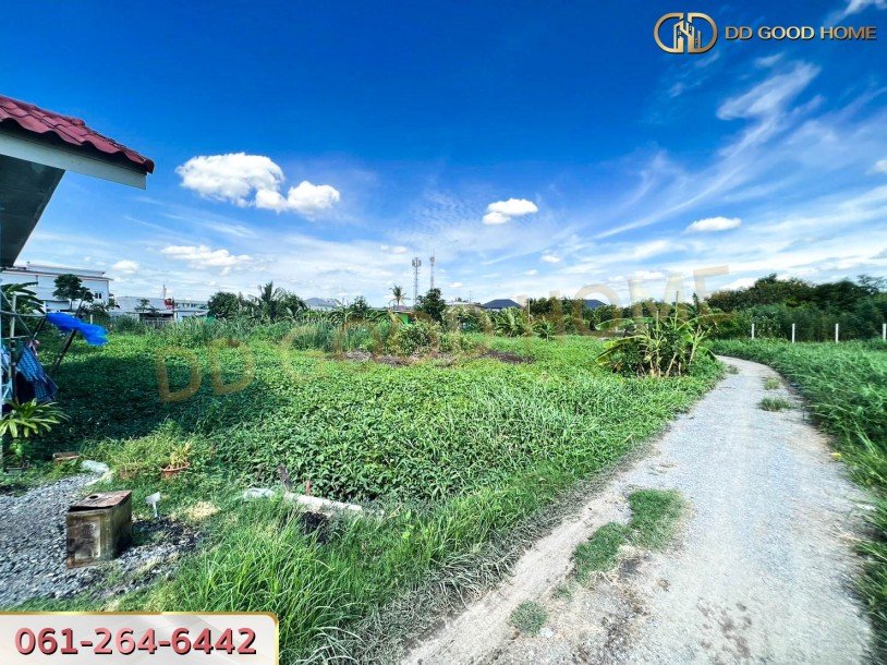 ที่ดินเปล่ายังไม่ถมขนาด 114 ตร.ว. ในซอยโกสุมรวมใจ ใกล้วัดเวฬุวนาราม(วัดไผ่เขียว)-9