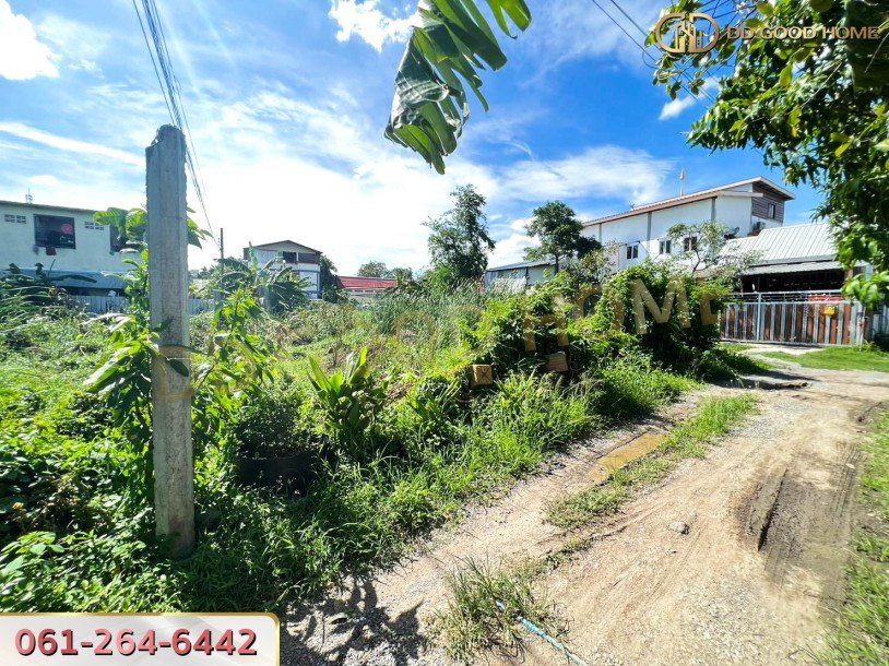 ที่ดินเปล่ายังไม่ถมขนาด 114 ตร.ว. ในซอยโกสุมรวมใจ ใกล้วัดเวฬุวนาราม(วัดไผ่เขียว)-7