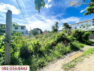 ที่ดินเปล่ายังไม่ถมขนาด 114 ตร.ว. ในซอยโกสุมรวมใจ ใกล้วัดเวฬุวนาราม(วัดไผ่เขียว)