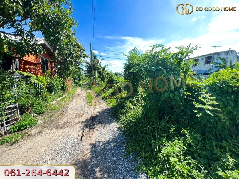 ที่ดินเปล่ายังไม่ถมขนาด 114 ตร.ว. ในซอยโกสุมรวมใจ ใกล้วัดเวฬุวนาราม(วัดไผ่เขียว)-5