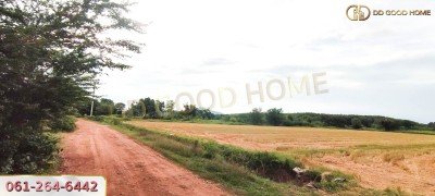 ที่ดินเปล่า 21 ไร่ 3 งาน 55 ตร.ว. ต.ศิลาลอย อ.สามร้อยยอด