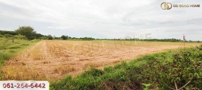 ที่ดินเปล่า 21 ไร่ 3 งาน 55 ตร.ว. ต.ศิลาลอย อ.สามร้อยยอด