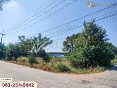 ที่ดิน อ.เมืองนครราชสีมา 3 ไร่ 349 ตร.ว. นิคมอุตสาหกรรมสุรนารี หัวทะเล นครราชสีมา