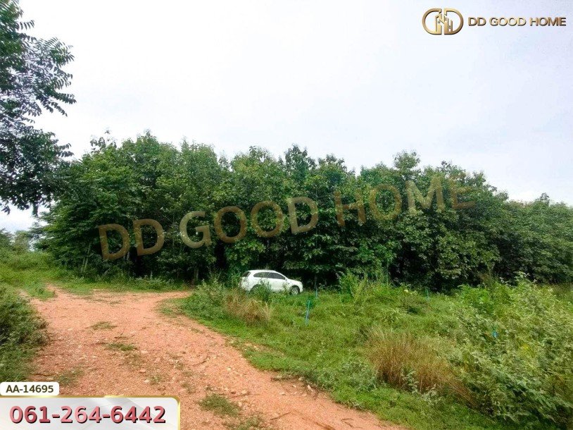 ที่ดินขนาด 14 ไร่ 314 ตร.ว. ใกล้โรงเรียนบ้านท่ามะริด ท่ายาง เพชรบุรี-7
