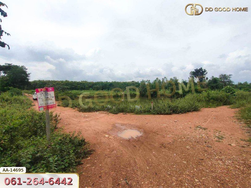 ที่ดินขนาด 14 ไร่ 314 ตร.ว. ใกล้โรงเรียนบ้านท่ามะริด ท่ายาง เพชรบุรี-6