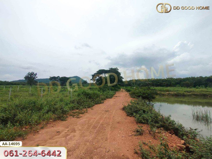 ที่ดินขนาด 14 ไร่ 314 ตร.ว. ใกล้โรงเรียนบ้านท่ามะริด ท่ายาง เพชรบุรี-5