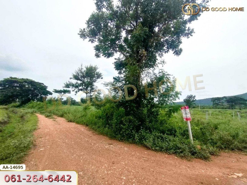 ที่ดินขนาด 14 ไร่ 314 ตร.ว. ใกล้โรงเรียนบ้านท่ามะริด ท่ายาง เพชรบุรี-4