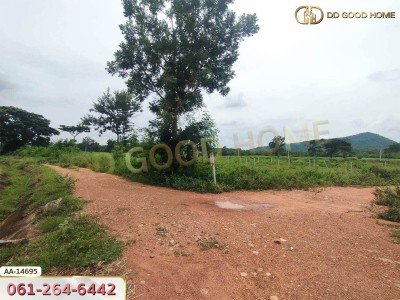 ที่ดินขนาด 14 ไร่ 314 ตร.ว. ใกล้โรงเรียนบ้านท่ามะริด ท่ายาง เพชรบุรี