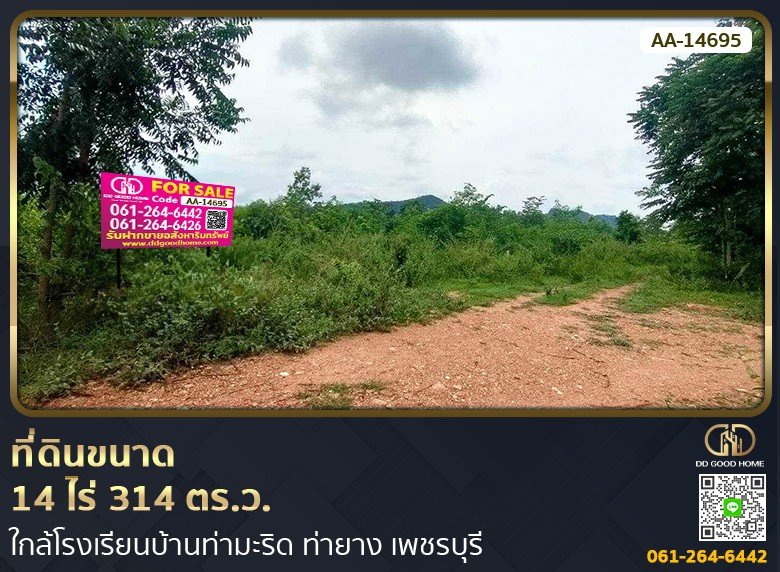ที่ดินขนาด 14 ไร่ 314 ตร.ว. ใกล้โรงเรียนบ้านท่ามะริด ท่ายาง เพชรบุรี-1