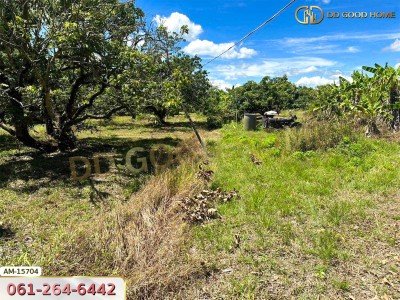 ที่ดิน 8 ไร่ 150 ตร.ว. บ้านป่าคา ติดถนนทางหลวง หางดง เชียงใหม่