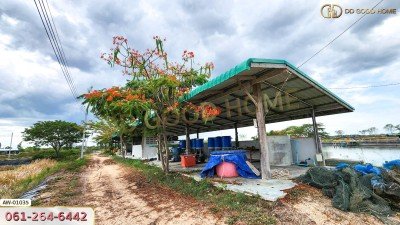 ที่ดินพร้อมสิ่งปลูกสร้าง บ่อกุ้งครูปัญญาฟาร์ม 78 ไร่ 5 ตร.ว. ต.หนองจอก อ.ท่ายาง