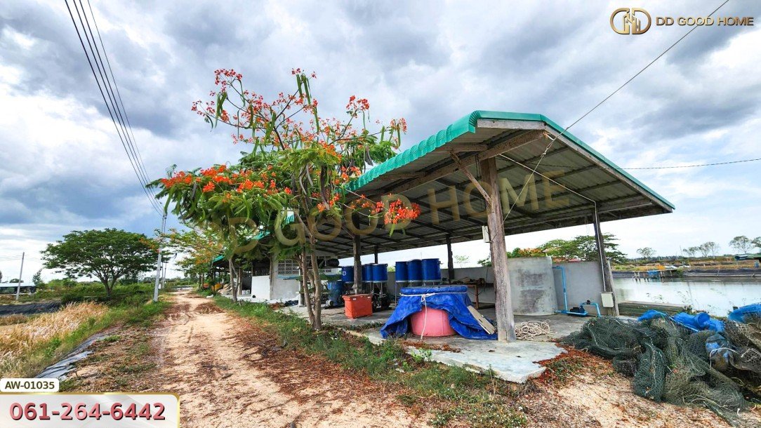 ที่ดินพร้อมสิ่งปลูกสร้าง บ่อกุ้งครูปัญญาฟาร์ม 78 ไร่ 5 ตร.ว. ต.หนองจอก อ.ท่ายาง-2