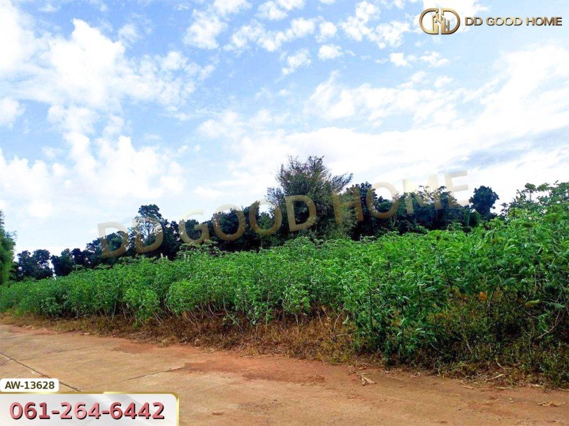 ที่ดินขนาด 26 ไร่ 283 ตร.ว. ถ.ราชสีมา-โชคชัย หลังสถานีอนามัยกุดโบสถ์ นครราชสีมา-6