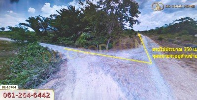 ที่ดิน อ.พระพรหม 1 ไร่ 197 ตร.ว. นครศรีธรรมราช