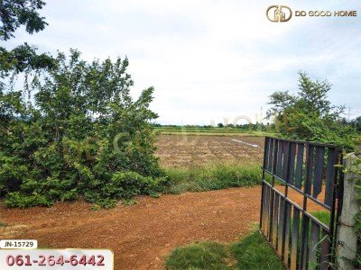 ที่ดิน อ.ด่านมะขามเตี้ย 113 ตร.ว. พร้อมสิ่งปลูกสร้าง ถ.ยางเกาะ-ลำทราย กาญจนบุรี