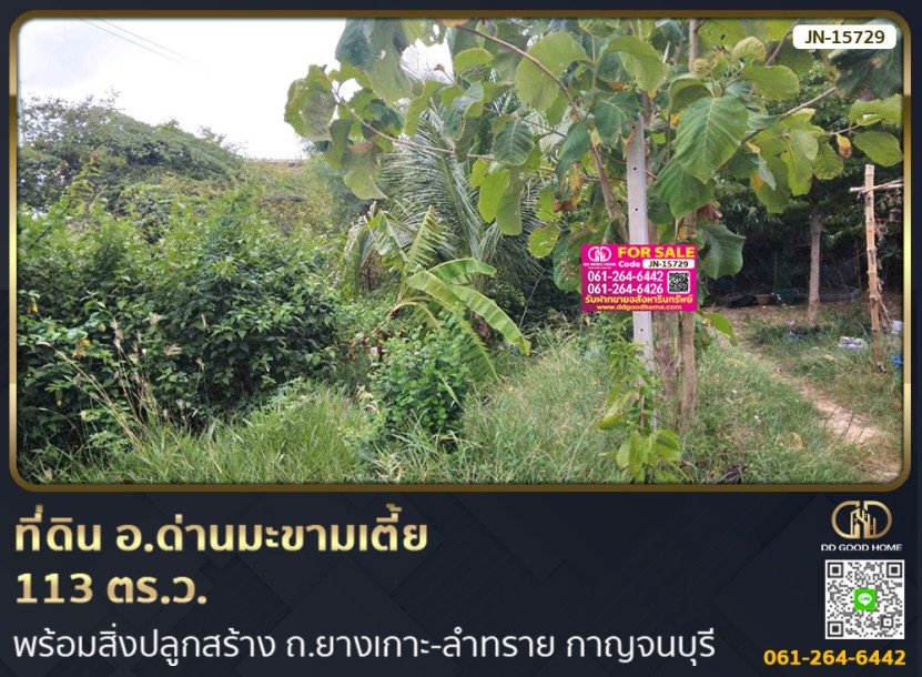 ที่ดิน อ.ด่านมะขามเตี้ย 113 ตร.ว. พร้อมสิ่งปลูกสร้าง ถ.ยางเกาะ-ลำทราย กาญจนบุรี-1
