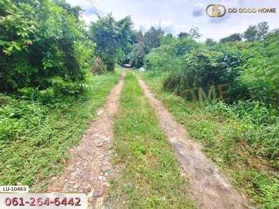 ที่ดินเปล่า 121 ตร.ว. ซอยร่วมมิตรพัฒนา แยก 6 บางเขน กรุงเทพ