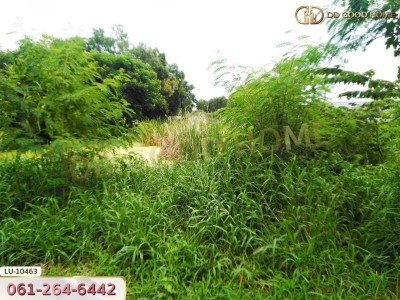 ที่ดินเปล่า 121 ตร.ว. ซอยร่วมมิตรพัฒนา แยก 6 บางเขน กรุงเทพ