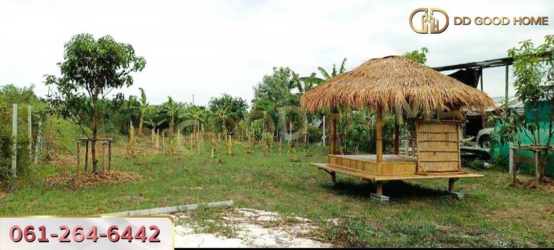 ที่ดินเปล่าถมแล้ว 136 ตร.ว. ต.นราภิรมย์ อ.บางเลน-2