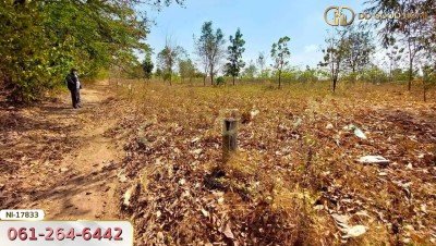 ที่ดิน อ.ท่ามะกา 11 ไร่ 248 ตร.ว. ซ.โยธาธิการ จ.กาญจนบุรี